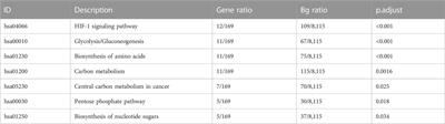 Identification of key pathways, genes and immune cell infiltration in hypoxia of high-altitude acclimatization via meta-analysis and integrated bioinformatics analysis